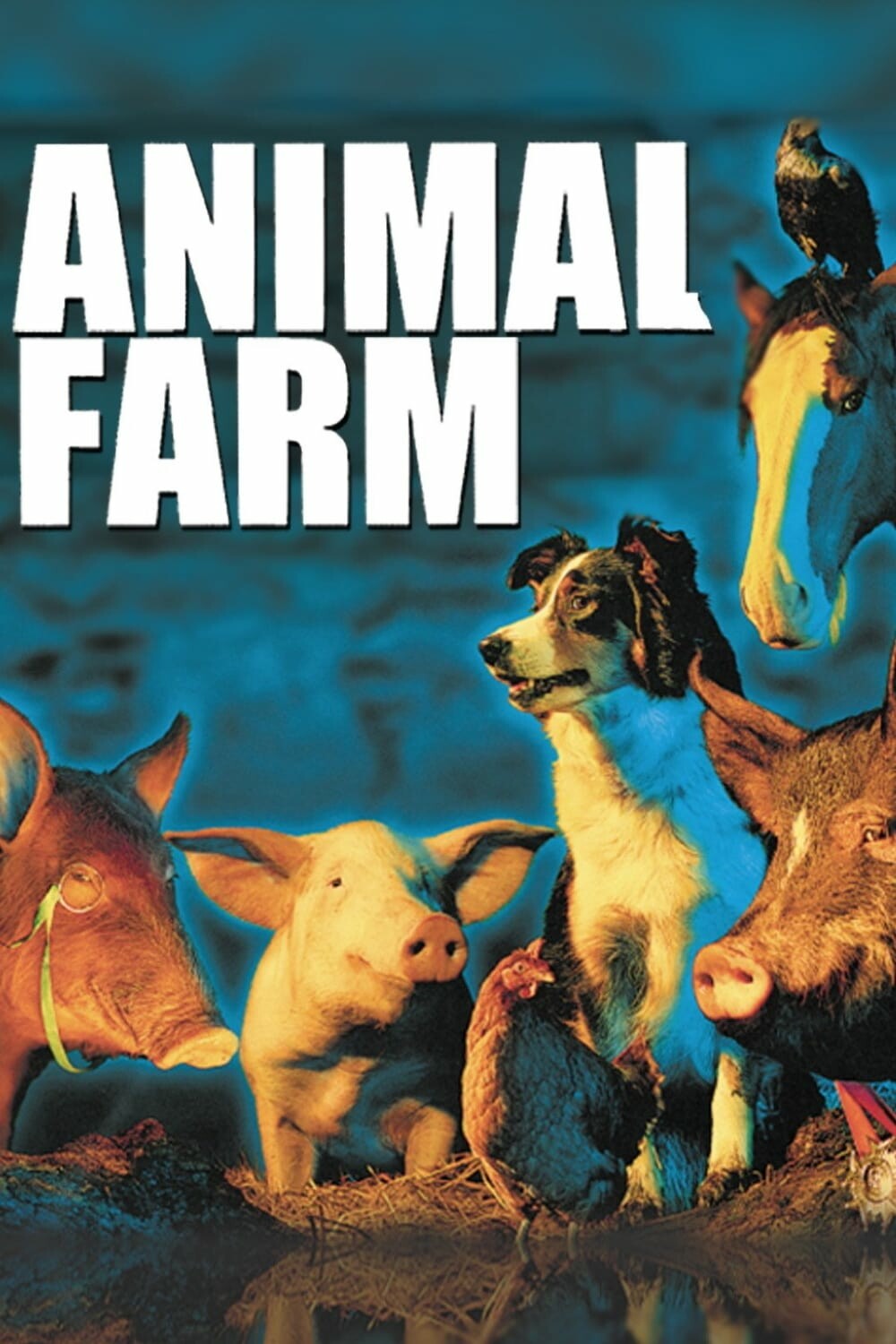Animal Farm (1999).jpg